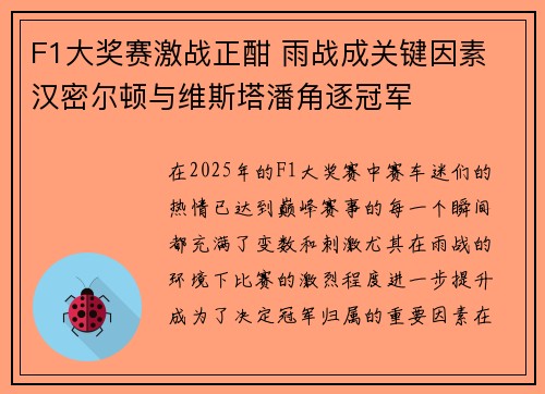 F1大奖赛激战正酣 雨战成关键因素 汉密尔顿与维斯塔潘角逐冠军
