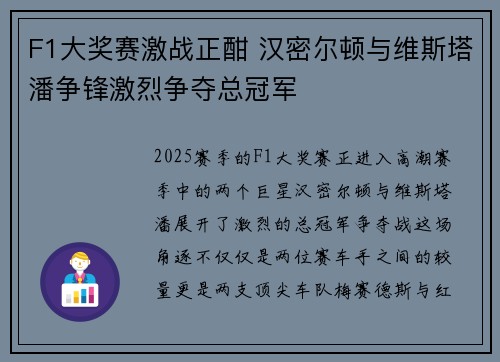 F1大奖赛激战正酣 汉密尔顿与维斯塔潘争锋激烈争夺总冠军